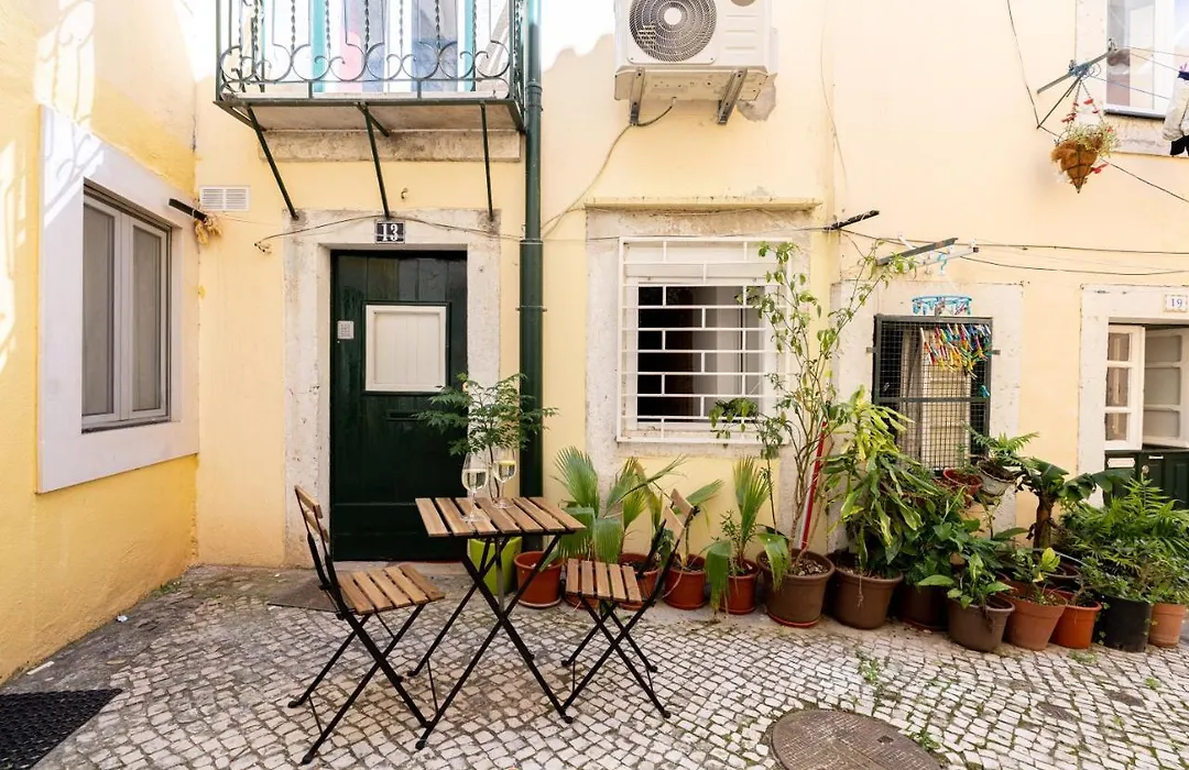 Alfama Nest-1