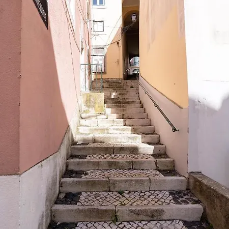 Alfama Nest-3